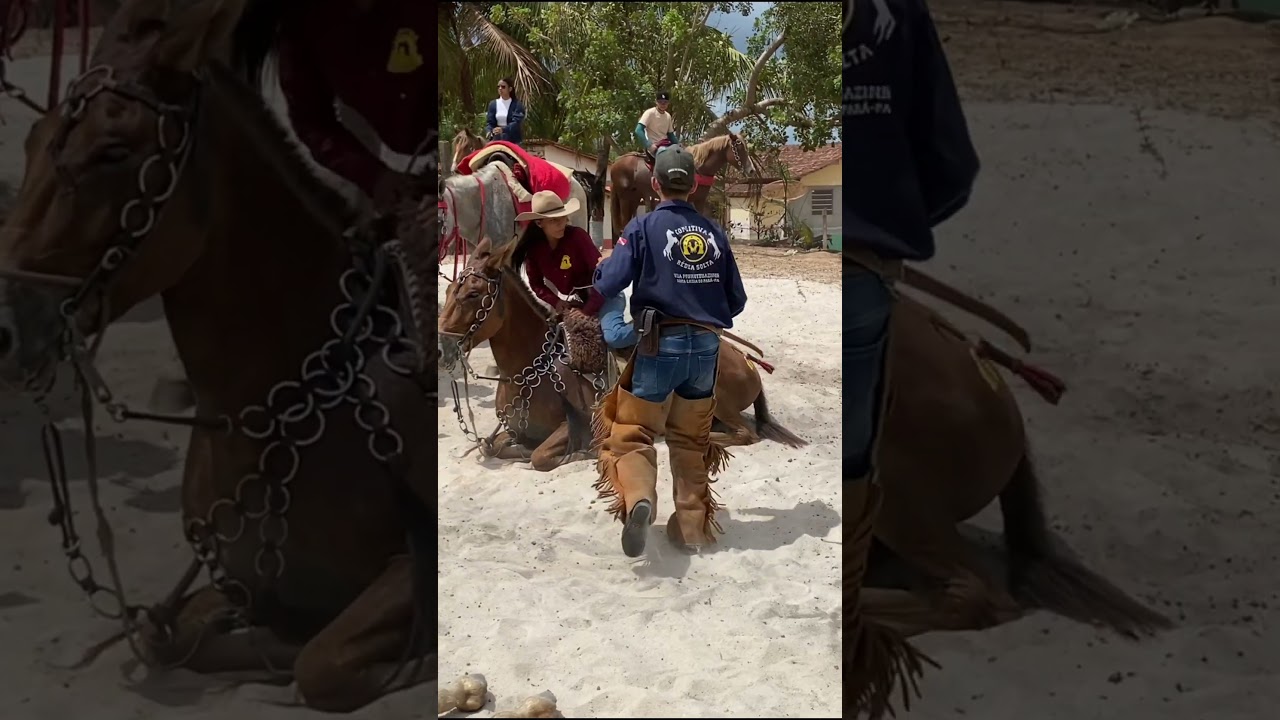 Meu parceiro casca de bala 