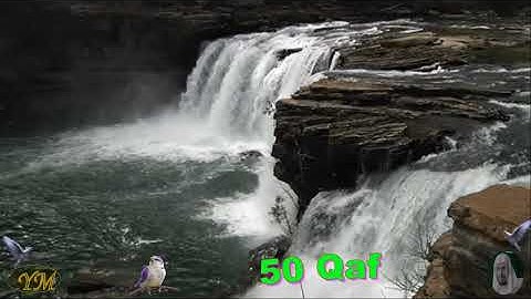 050 Surat Qaf الشيخ سعد الغامدي سورة ق