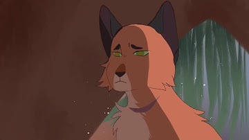 Typical Story | Tigerstar MAP part 13