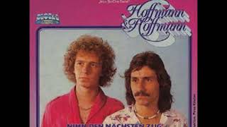 Video thumbnail of "Hoffmann & Hoffmann - Wenn ich dich verlier (German cover of "Non so che darei")"