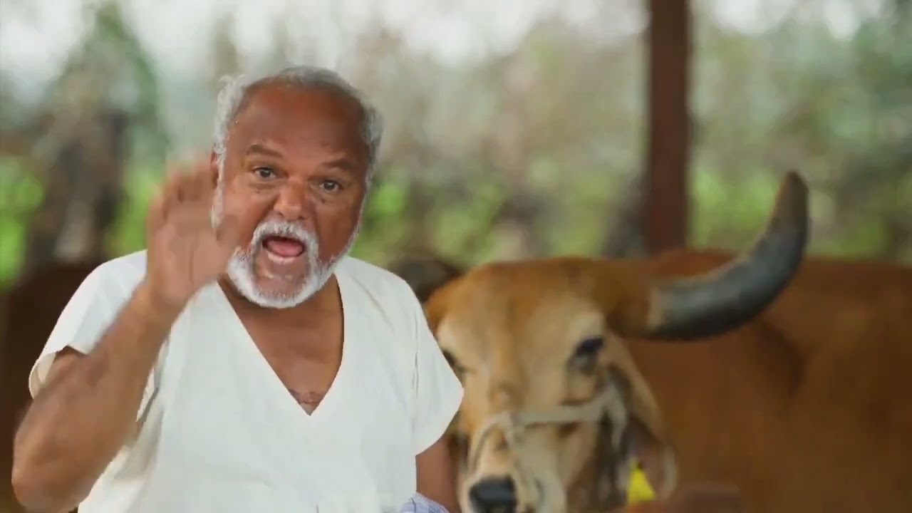 Bye Bye Diamond Rani || TDP BJP JSP Alliance