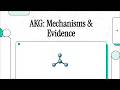 Alpha-Ketoglutarate (AKG): Mechanisms &amp; Evidence (2026) [NotebookLM]