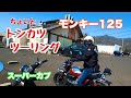 スーパーカブ復活してモンキー125とトンカツ屋に行く。 #スーパーカブ  #モンキー125