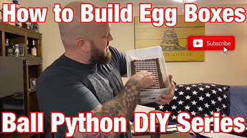 DIY: Ball Python / Reptile Egg Boxes - A step by step process on how to make them for your projects!