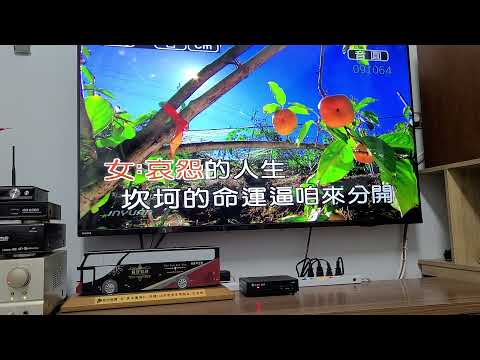 海波浪