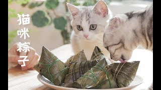 Sweet rice cake or salty rice cake? Don't fight. Your life is worse than a cat! | SanHua Cat Live