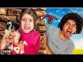 كلب القيصر طلع موجود عند ايسل الكابيتانو 