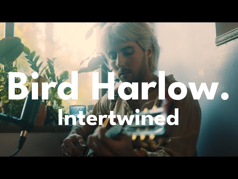 Subdued Sessions | Bird Harlow "Intertwined"