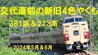 【４Ｋ 60fps】交代直前の新旧4色やくも（381系＆273系）