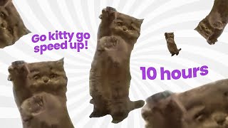 Go Kitty Go Speed Up 10 Hours