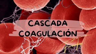 Visión general de la CASCADA DE COAGULACIÓN  #medicina #salud #ciencia #divulgador