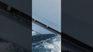 A Furtive Moment Of Escape From The Everyday With Friends On The Gulf Of Saint Tropez