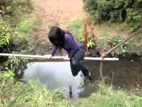 In pond photo 26