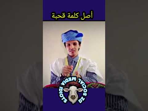 أصل كلمة قحبة عند العرب أصل العرب العربية