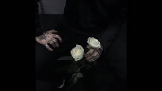 Видео Клип запах марихуаны Pᴏʀᴛᴏ Rɪᴄᴏ???? (автор: Новая Музыка)