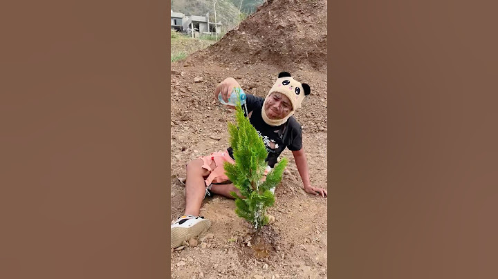 DESEO UN ARBOL DE NAVIDAD