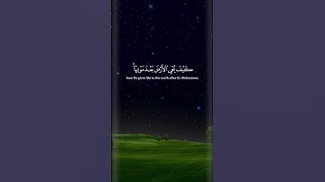 تلاوة خاشعة ومؤثرة للشيخ ياسر الدوسري #اكسبلور #دويتو متابعة