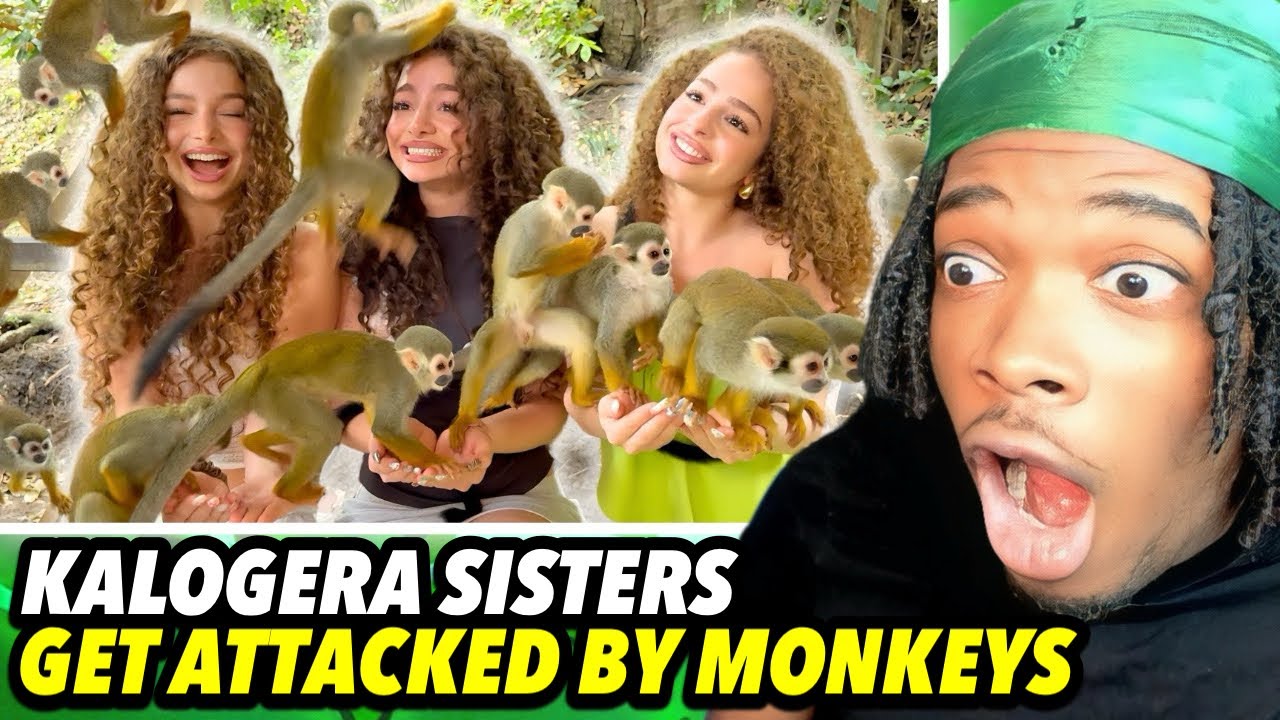 KALOGERAS SISTERS GET ATTACKED BY MONKEYS! (hilarious)