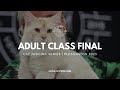 Cat Judging: Adult Class Final Pleasanton California