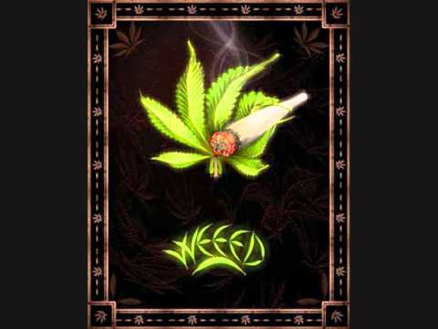 Putar Skunky Road - Mister Gang