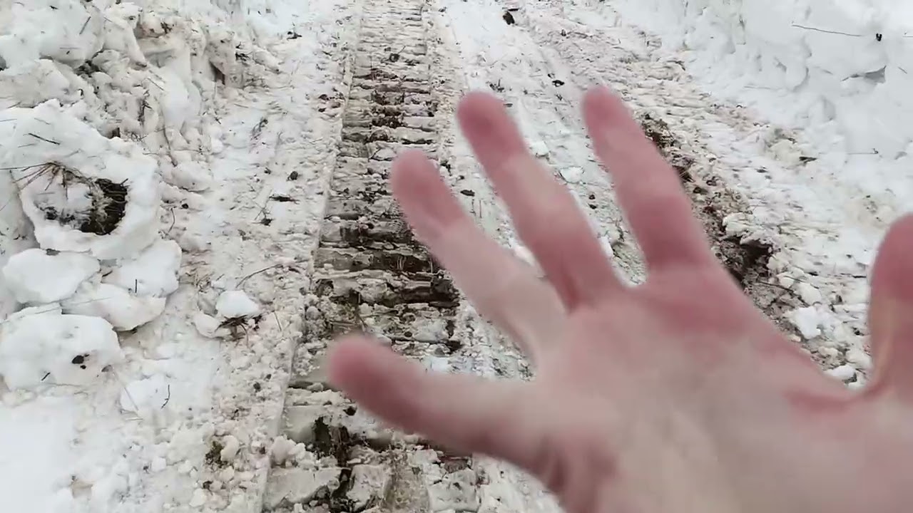 6 марта 2026 г.