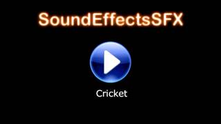 Cricket Sound Effect