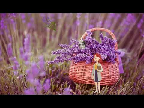 Video: Si Të Përdorni Lule Të Stabilizuara Në Brendësi