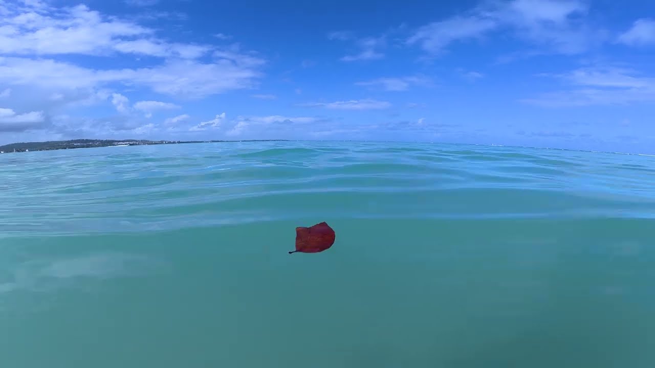 Puerto Rico: Luquillo - Playa - Beach - Balneario La Monserrate - DJI Osmo Action 5 Pro