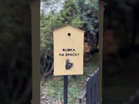 BUDKA na