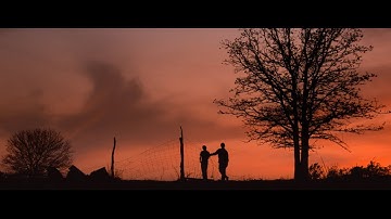 『アウトサイダー コンプリート・ノベル ‐4Kレストア版‐』予告編　フランシス・F・コッポラ-終わりなき再編集-