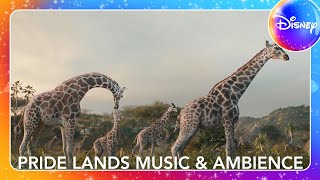 Pride Lands Music & Ambience | Mufasa: The Lion King (1-Hour Loop) | Disney UK