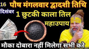 16 दिसंबर पौष मंगलवार द्वादशी तिथि के दिन 1 छुटकी काला तिल वाला उपाय जरुर करे || Premanad Ji Maharaj