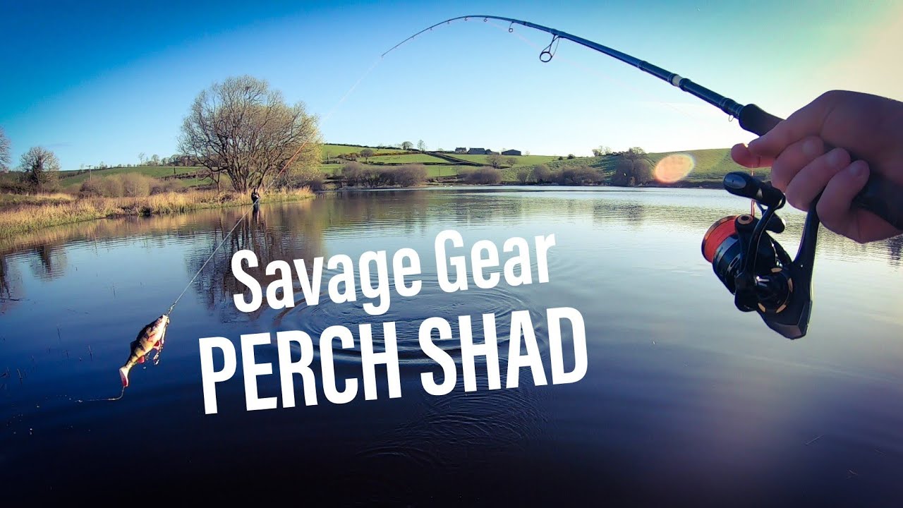 Pike fishing with the Savage Gear Perch shad 