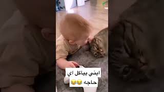 بيبي عسل ❤️ شوف عمل ايه بالقطة بيبي طفل قطط