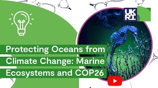 Protecting #Oceans from #ClimateChange: Marine Ecosystems and COP26 - Plymouth Marine Laboratory