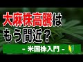 大麻株高騰はもう間近？｜米国株入門【海外株投資チャンネル】