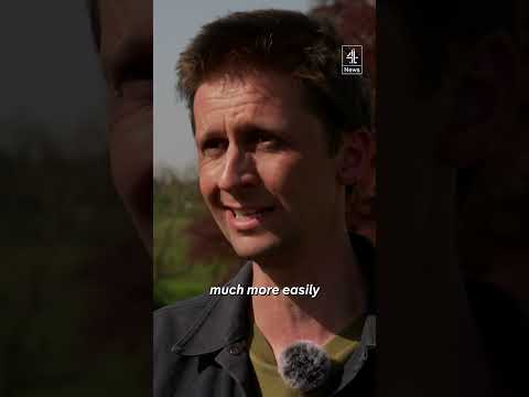 Thumbnail for Should the public be able to walk on private land?
