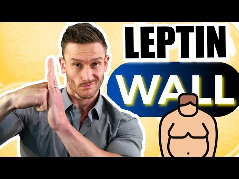 5 Causes of Leptin Resistance & Visceral Fat