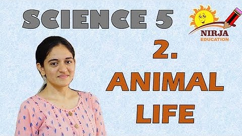 Class 5 Science chapter 2 Animal Life - animal life - class5 - science - science chapter 2 - ncert