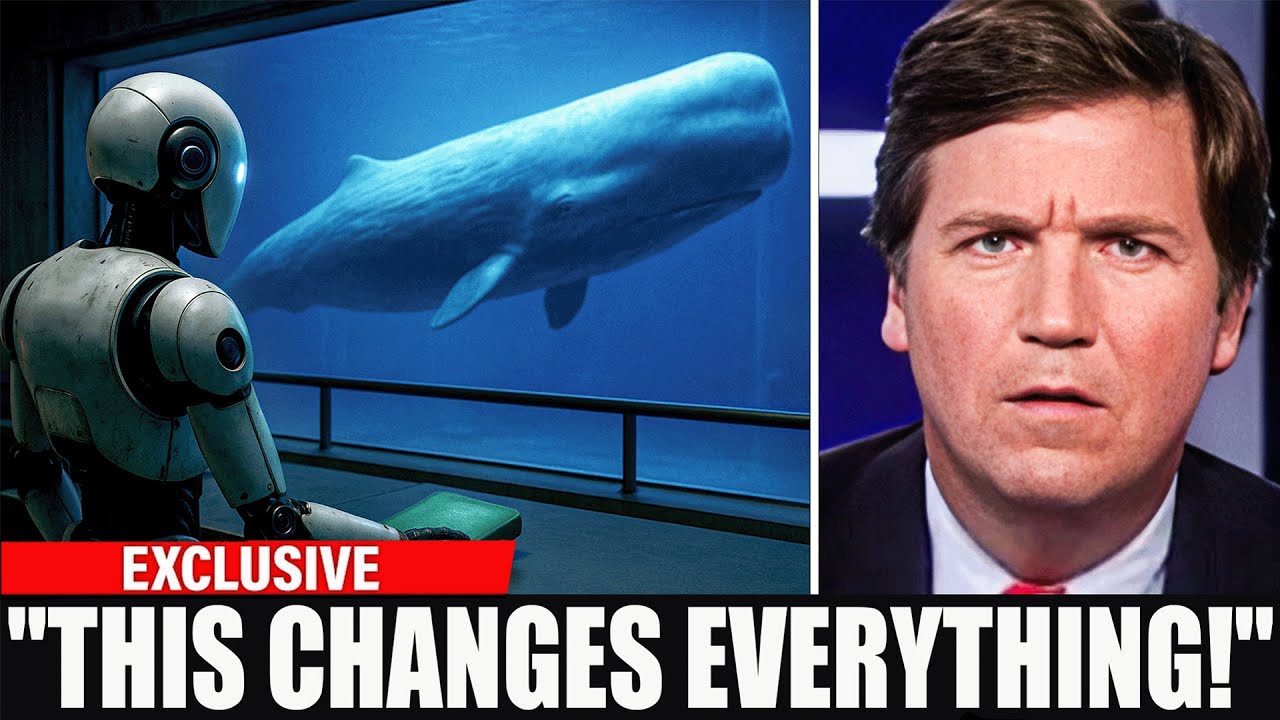 Scientists Just Decoded Language of the Whales Using AI... And It's Not What You Think