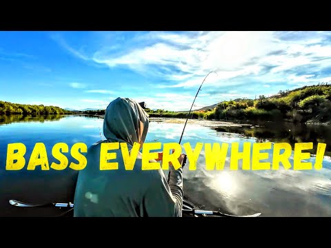Nonstop Bass Fishing on Arizona's Salt River!