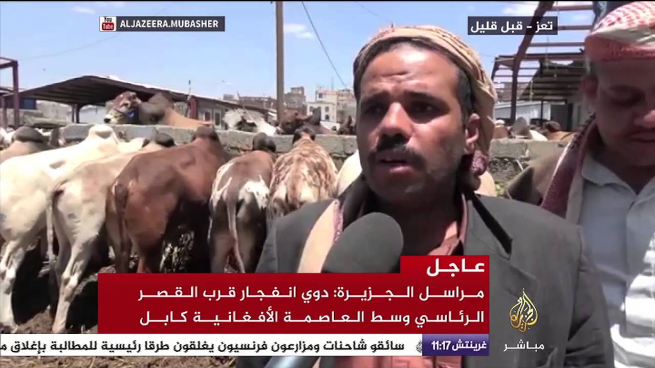 أسعار الأضاحي واستعدادات اليمنيين لاستقبال عيد الأضحى