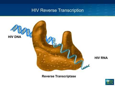 Video: Zdravila Proti Virusu HIV: NRTI, Proteazni Inhibitorji In še Veliko Več