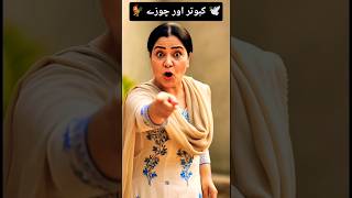 کبوتر اور چوزے 🕊️🐓 #shorts #entertainment #music #song #pakistan #viral #funnyshorts
