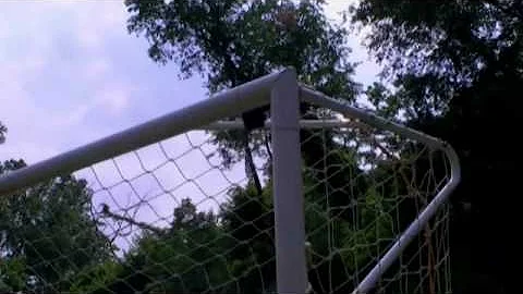 theoneminutesJr - goal by Elizabeth Siefert