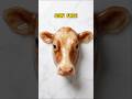 Satisfying AI Animal Slime: Cow Edition! 🐮 Squishy ASMR! 😍 #shorts #slime