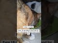 Https Vt Tiktok Com ZS9BC8rm4 Https Vt Tiktok Com ZS9B9tPYf 