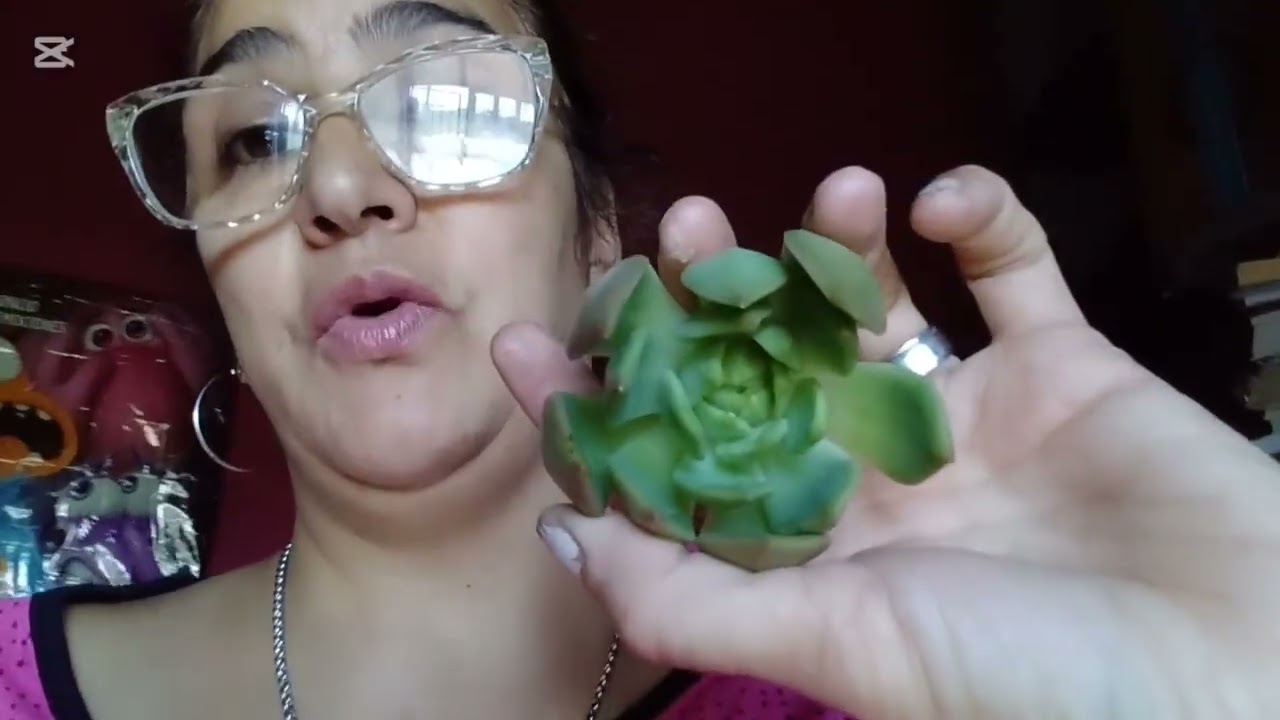 En sala de emergencia🚑🚑🚨🚨