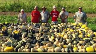 Direct Marketing with PrairiErth Farm in Illinois