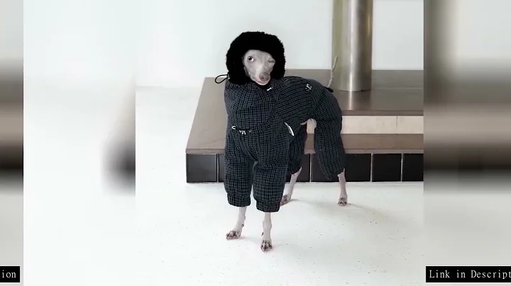 Thick Plaid Down Coat for Dogs in Winter Waterproof Windproof Grey Warm 4-leg Mink Fur Collar Puffer